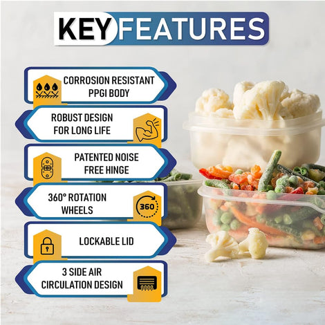 Rockwell 60 Ltrs. Hard top Single Door Deep Freezer SFR70