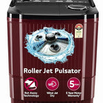 LG 11.5 kg, 5 Star, Roller Jet Pulsator with Soak, Wind Jet Dry Technology, Semi-Automatic Top Load Washing Machine (2025 Model, P115ASDAZ, Smart Filter & Rat Away feature)