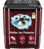 LG 11.5 kg, 5 Star, Roller Jet Pulsator with Soak, Wind Jet Dry Technology, Semi-Automatic Top Load Washing Machine (2025 Model, P115ASDAZ, Smart Filter & Rat Away feature)