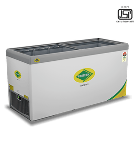 WESTERN F550GL25 GLASS TOP DEEP FREEZER